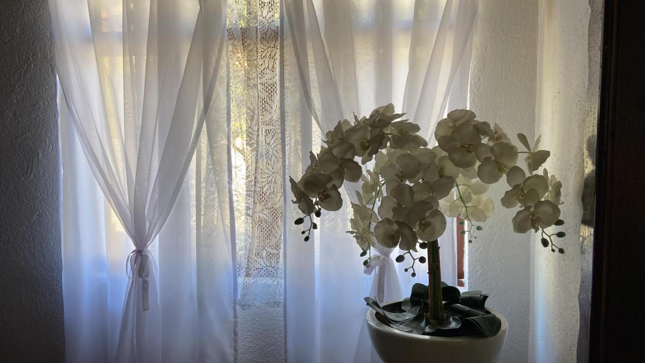Chale House Falkenberg 蒙特韦尔迪 外观 照片
